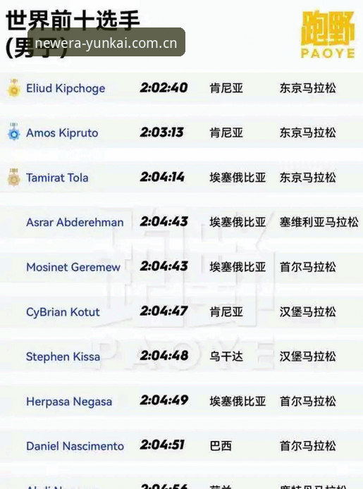 云开体育平台官方网址对比与使用指南：2026新版登录入口全解析